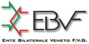 EBVF  